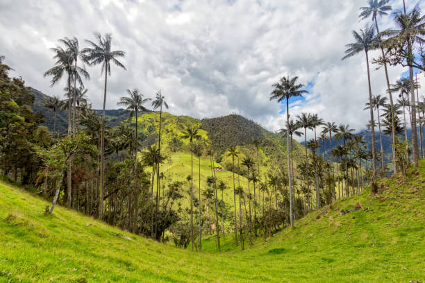 Jeep Trip Dramatic clouds over a valley in rural Tolima, Colombia. tolima stock pictures, royalty-free photos & images