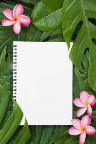 istock Tropical top view summer botanical concept still life white frame with monstera liana, vine, palm leaves and plumeria frangipani flower flat lay layout 884495174
