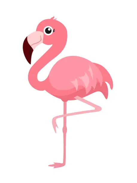 Vector illustration of Cartoon flamingo isolated on white background. Vector illustration.