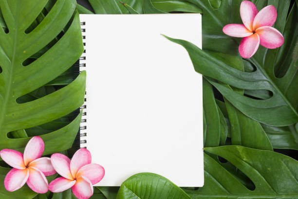 istock Tropical top view summer botanical concept still life white frame with monstera liana, vine, palm leaves and plumeria frangipani flower flat lay layout 884495254