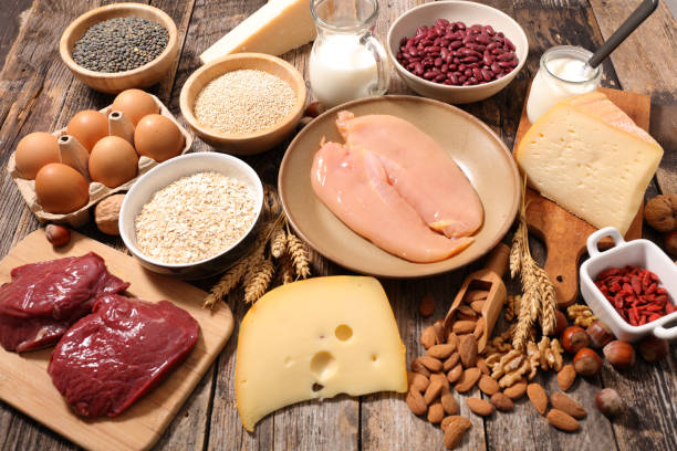 istock selection of food high in protein 884495752