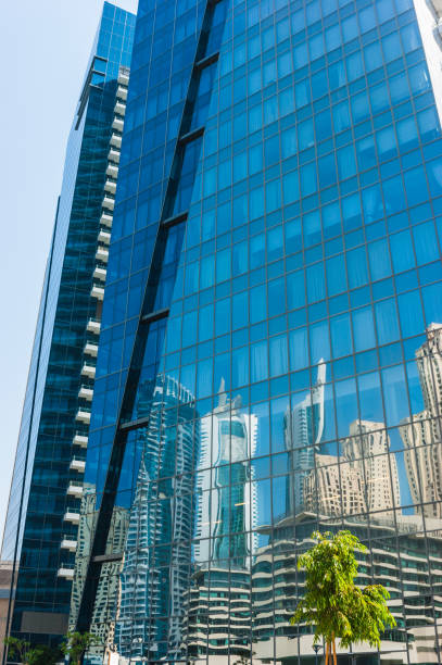 istock Tree on a background of reflections in the mirrored glass 884501988