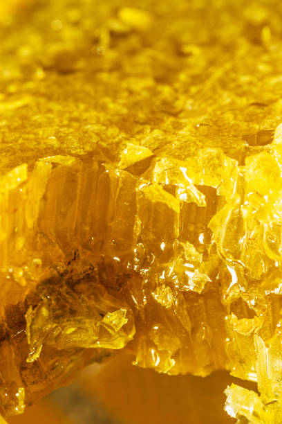 istock close-up pieces of honeycomb with honey 884509200
