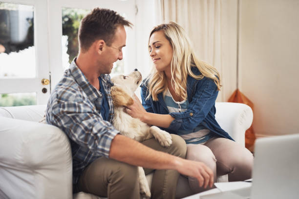 istock He's our cutest little friend 884521836