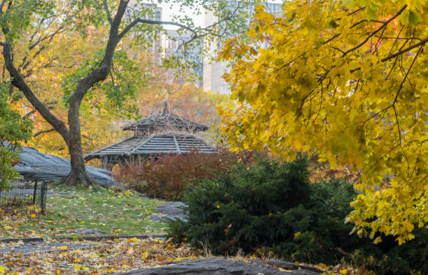 istock Central Park, New York City autumn 884521880