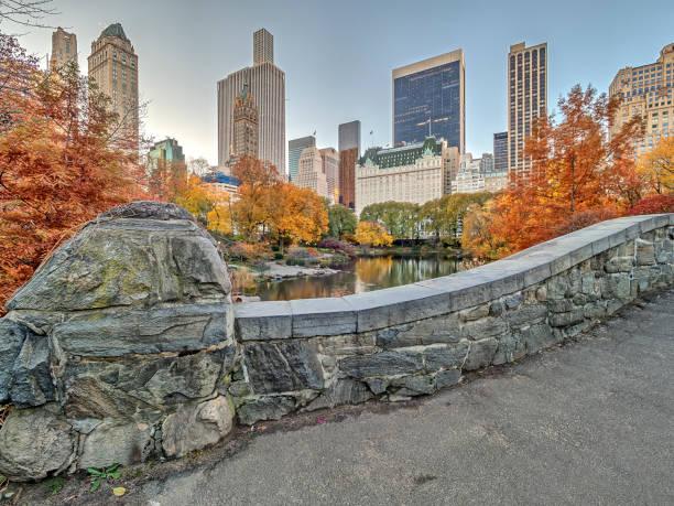 istock Gapstow bridge Central Park, New York City 884522852