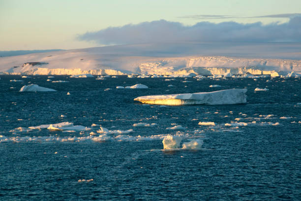 istock Antarctica, late afternoon seascape 884524716