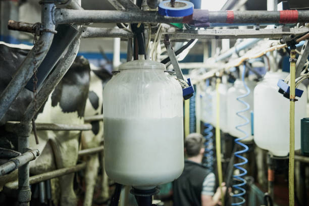 frisch verarbeitete milch - milk industry milk bottle factory stock-fotos und bilder