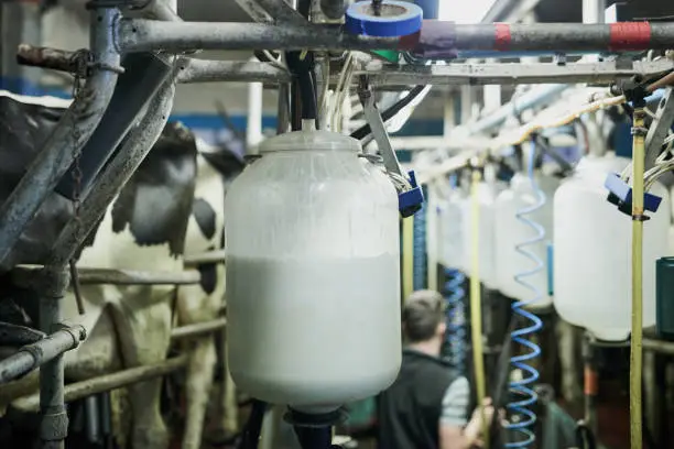 Cropped shot of milk bottles being filled in a dairy