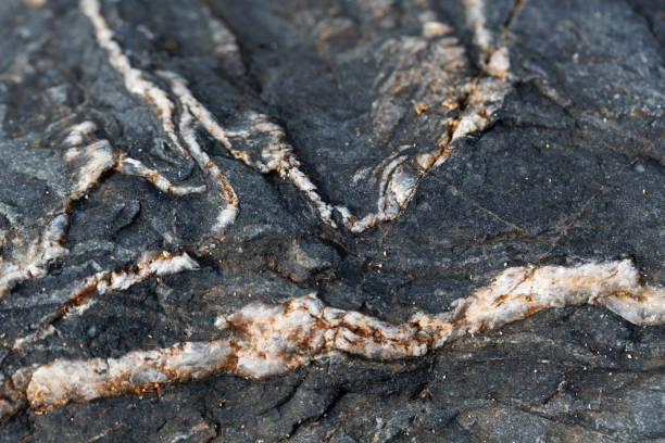 istock Calcite veins in tectonized black clay shales 884527976