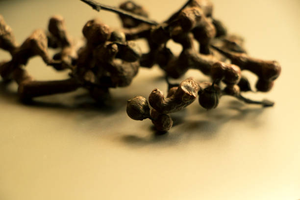 istock Oriental oriental medicine 884559798