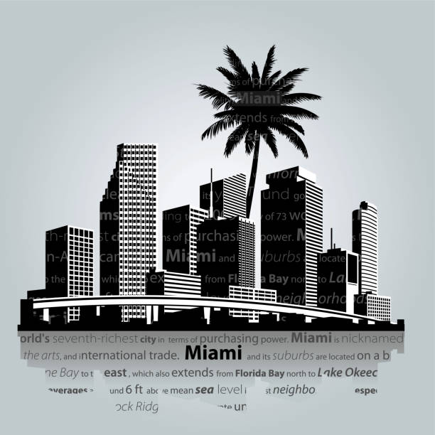 skyline von miami. vektor-illustration - night cityscape reflection usa stock-grafiken, -clipart, -cartoons und -symbole