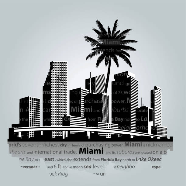 illustrations, cliparts, dessins animés et icônes de skyline de miami. illustration vectorielle - night cityscape reflection usa