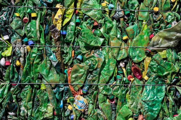 recyclage des déchets - packaging recycling bottle plastic photos et images de collection