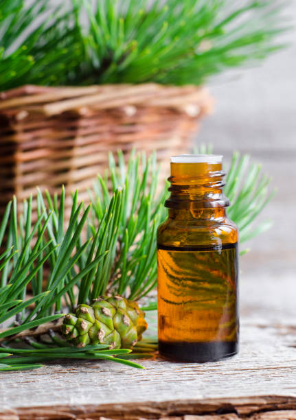 istock Small bottle of essential pine oil 884594910