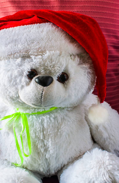 istock Toy teddy bear wearing Santa hat, on a red background. 884607728