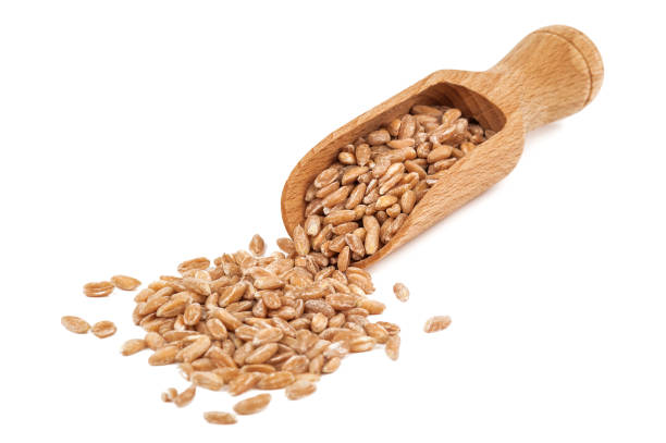 istock ripe wheat and wooden spoon 884610008