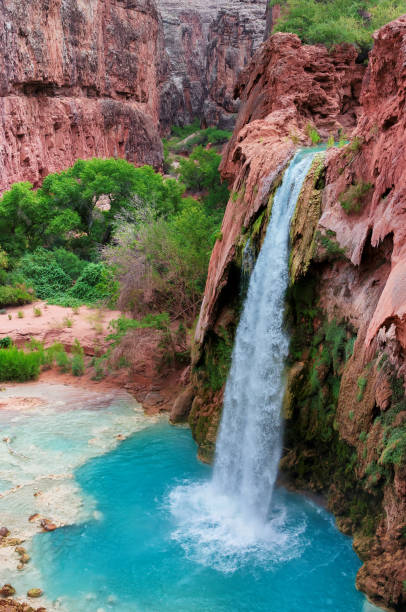 Havasu Falls in the Grand Canyon, Arizona Havasu Falls on Havasu Creek in the Grand Canyon, Havasupai Indian Reservation, Arizona, USA havasupai indian reservation stock pictures, royalty-free photos & images