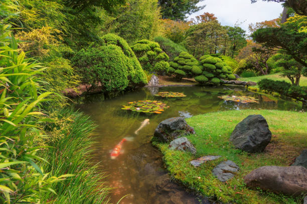 istock Japanese Garden 884618848