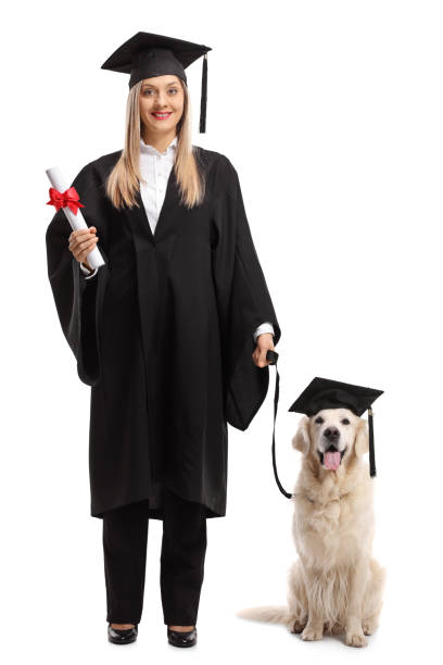 weibliche studentin mit einem diplom und ein hund mit abitur hut - dog graduation hat school stock-fotos und bilder