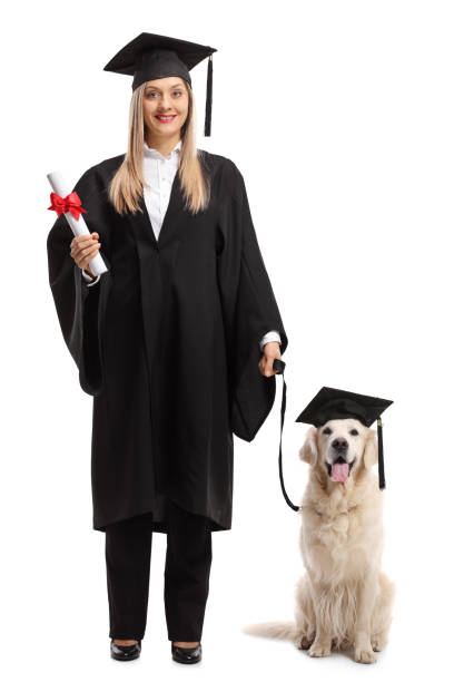 여성 대학원생 졸업 증서 및 졸업 모자를 쓰고 개 - dog graduation hat school 뉴스 사진 이미지