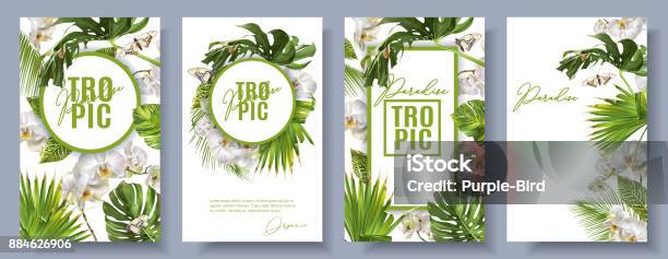 Tropische Orchidee Weiß Set Stock Vektor Art und mehr Bilder von Pflanze - Pflanze, Tropische Blume, Blatt - Pflanzenbestandteile