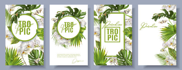 Tropic orchid white set Vector botanical vertical banners set with tropical leaves, orchid flowers and butterflies on white background. Design for cosmetics, spa, beauty care products, travel company. Can be used as summer background or wedding invitations banana borders stock illustrations