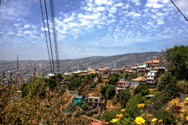 istock Valparaiso street art seagull pacific ocean 884629526