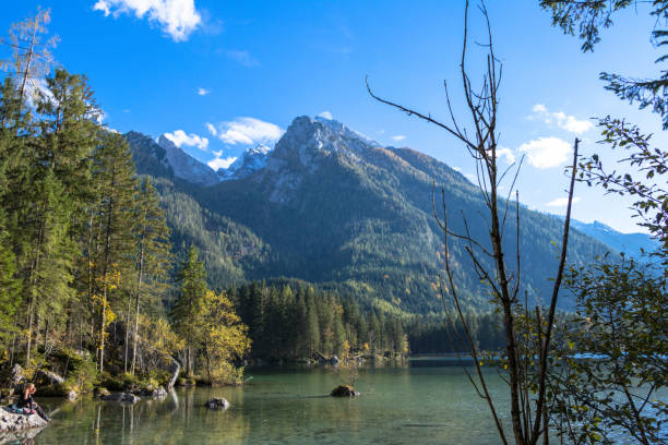 istock Hintersee near Ramsau in Bavaria in the Alps in Germany with branches 884629700