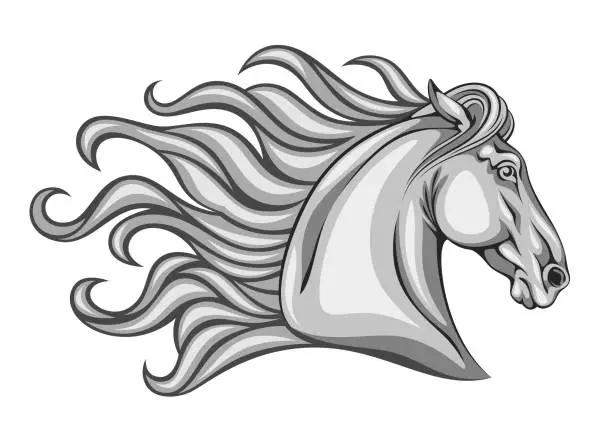 Vector illustration of Horse head