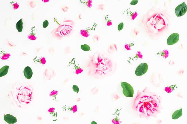 istock Floral pattern with pink roses, petals and leaves on white background. Flat lay, top view. Valentines day background 884646656