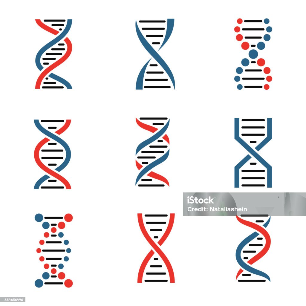 Conjunto de iconos de ADN aislado en un fondo blanco. - arte vectorial de ADN libre de derechos