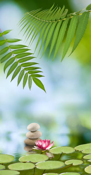 istock lotus flower on the water 884656958