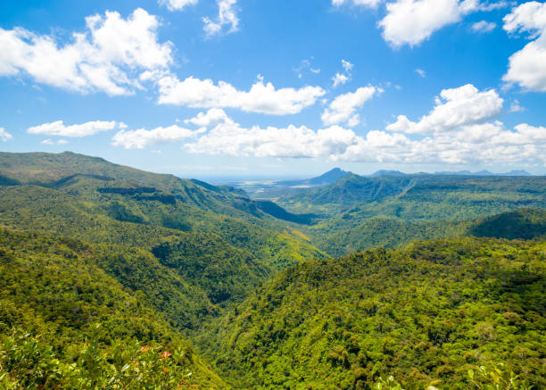 istock Black River Gorges National park 884657016