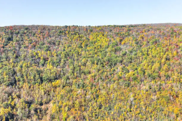 View of canaan valley mountains in Blackwater falls state park in West Virginia during colorful autumn fall season with yellow foliage on trees, rock cliff at Lindy Point