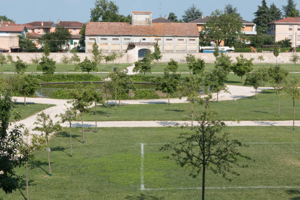 istock Beautiful Park with Trees and Little Circular Lake 884667014