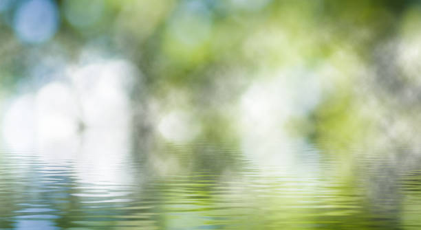 istock image of beautiful abstract natural background. 884667888