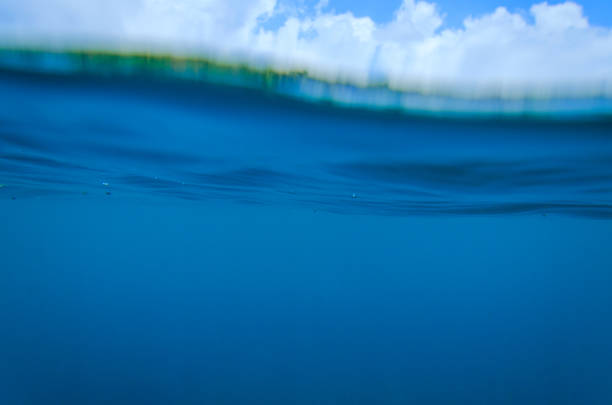 istock ocean waves from the near with blue sky 884672004