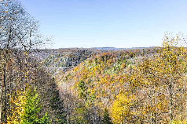 vista de montañas del valle de canaan en blackwater cae parque de estado de virginia occidental durante la temporada de otoño otoño colorido follaje amarillo en los árboles - monongahela national forest landscapes nature waterfall fotografías e imágenes de stock