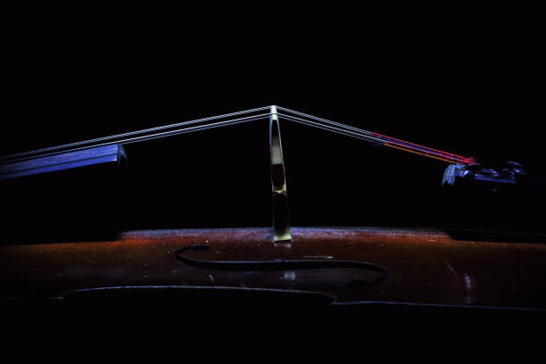 istock Details of Old Cello 884689950