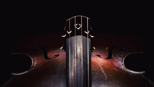 istock Details of Old Cello 884690060