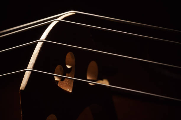 istock Details of Old Cello 884690150