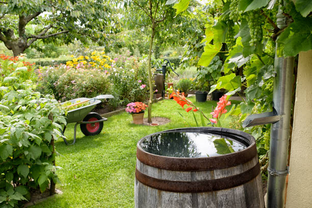 istock Wooden barrel 884693260