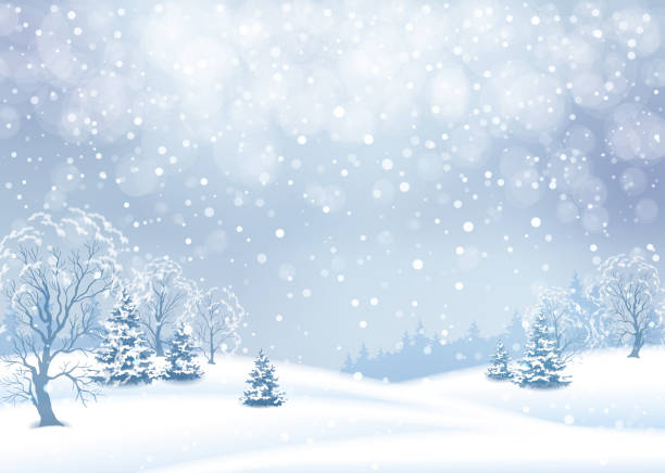 krajobraz zimowy wektor - bez ludzi ilustracje stock illustrations