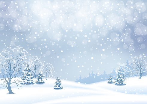 Vector winter snowy landscape. Christmas background with snowfall
