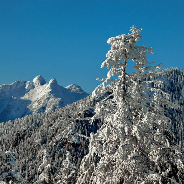 istock View at Lions Peaks from Grouse Mountain Vancouver 884713914