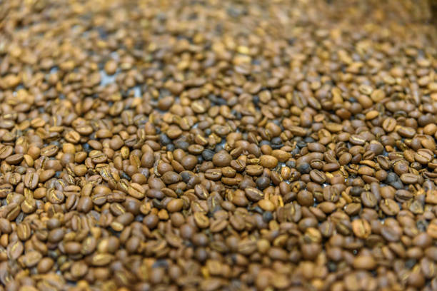 istock Coffee beans during the roasting process. Drum type roaster. Rosting process of coffee. 884722878