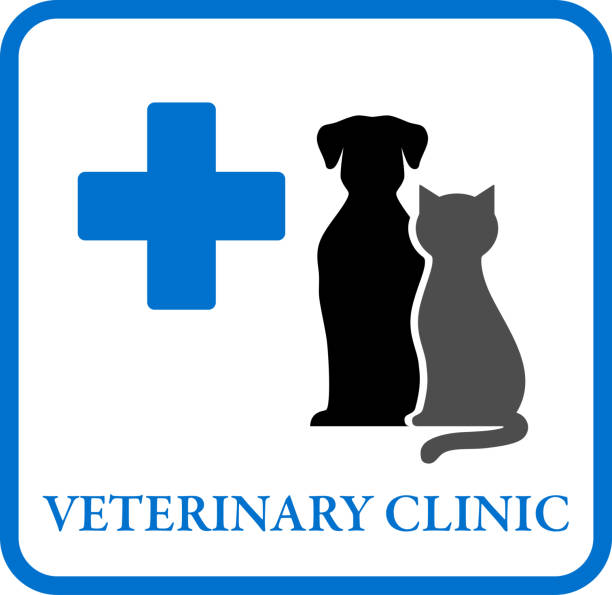 illustrazioni stock, clip art, cartoni animati e icone di tendenza di segno clinica veterinaria - at the foot of the cross