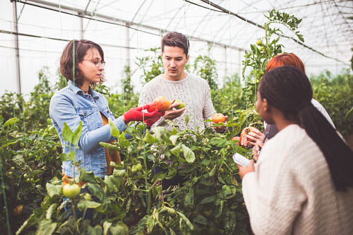 Young People Working In Greenhouse Of Agricultural Institute