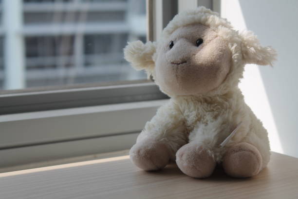 Lamb (sheep) and penguin toy sitting by the window in shadows